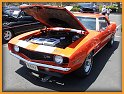 dscn0799.jpg
