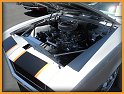 dscn0803.jpg
